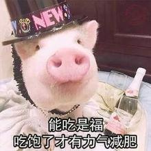 娱乐吃瓜酱我不丑,揭秘“我不丑”背后的故事与魅力  第3张